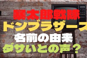 暴太郎戦隊ドンブラザーズ　名前　由来　ダサい