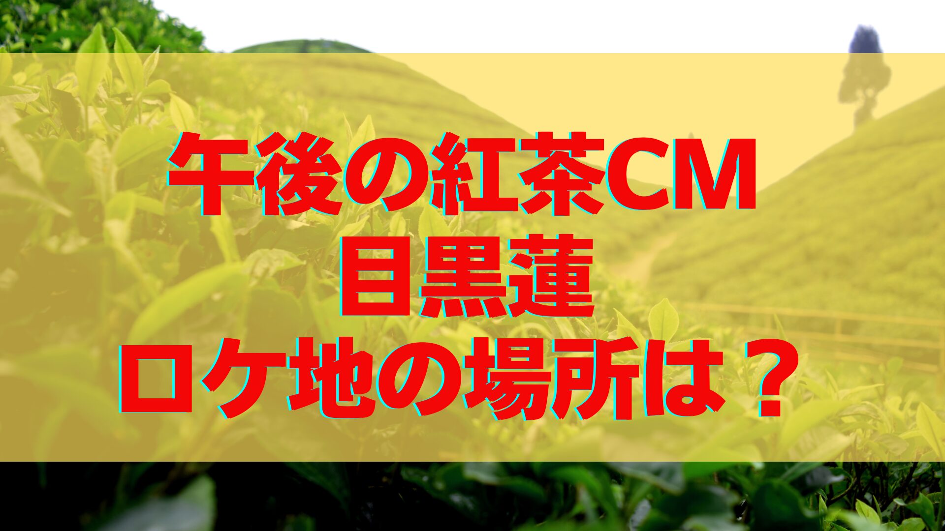 【午後の紅茶CM2024】ロケ地の紅茶の聖地の場所はどこ？ヌワラ・エリヤのペドロ茶園で特定！【目黒蓮】