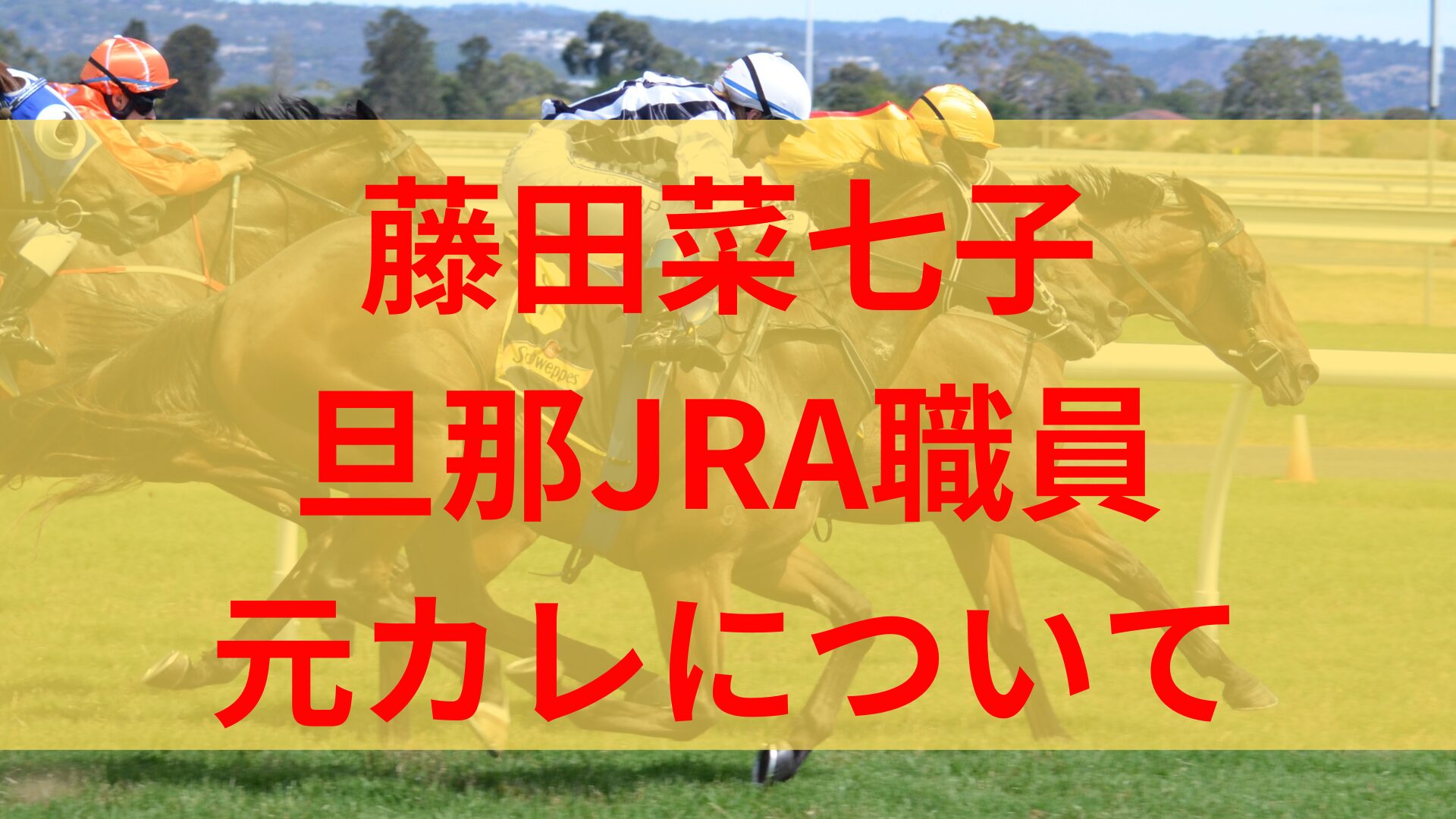 藤田菜七子旦那(夫)のJRA職員は誰？馴れ初めや出会い元カレについても