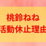 桃鈴ねね　活動休止　理由　原因　トラブル　何　ハッキング　持病　悪化　うつ病　